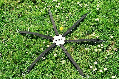 Datei:Kohtenspinne.jpg