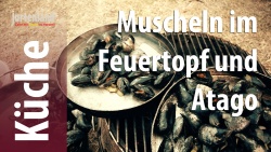 Muscheln.jpg