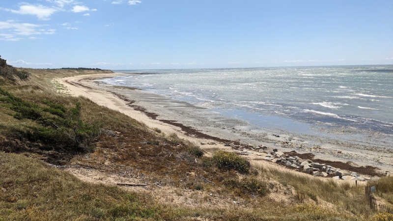 Datei:Wildswimmingiledere.jpg