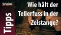 Vorschaubild der Version vom 12:56, 15. Mär. 2016